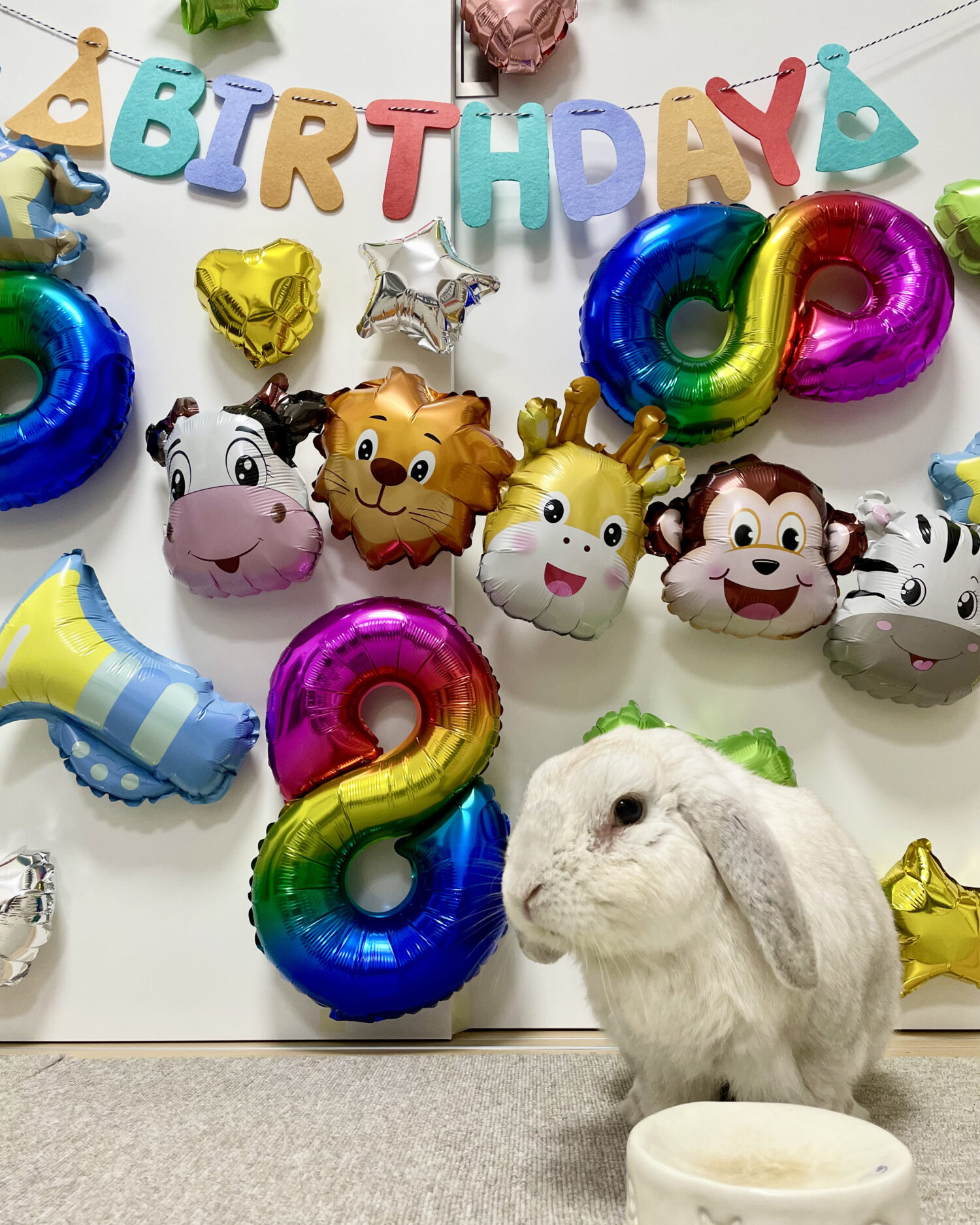 バーディ（シニア部門）