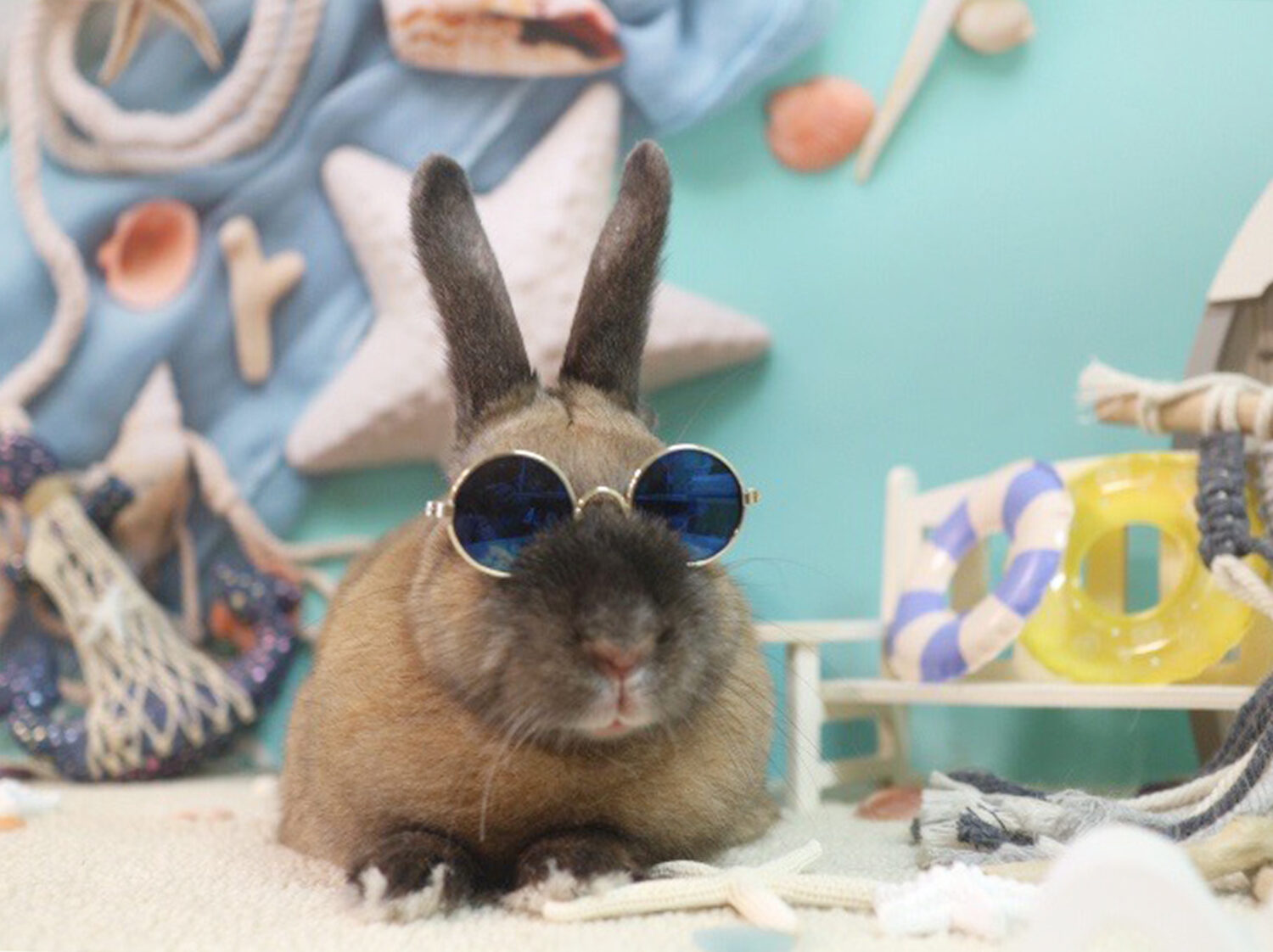 なつ希（シニア部門）