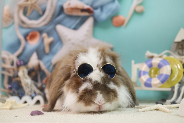 茶太郎（シニア部門）