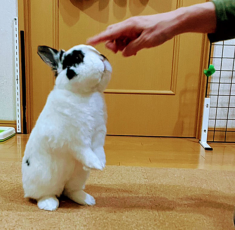 ゆうた（シニア部門）