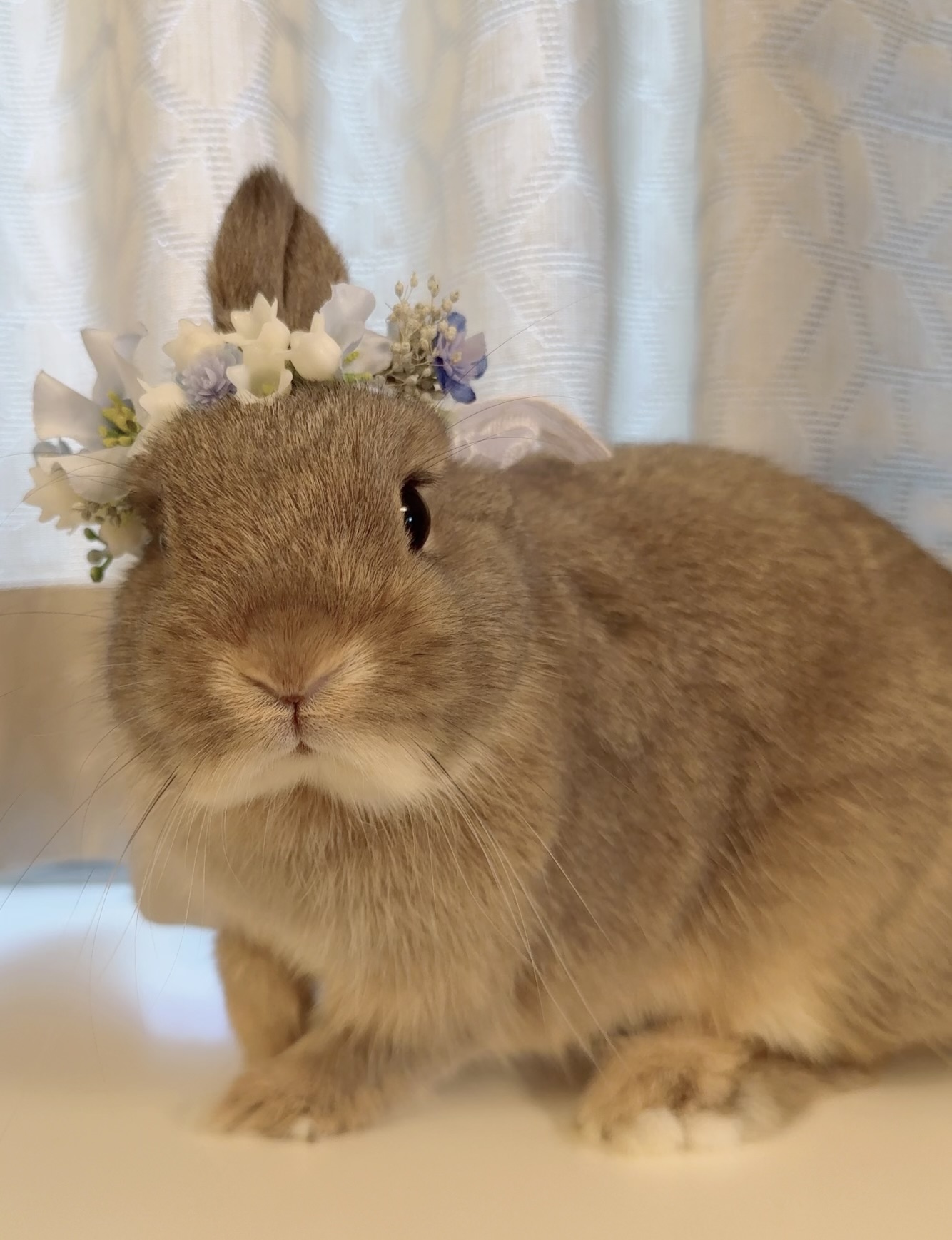 もな（おしゃれ部門）