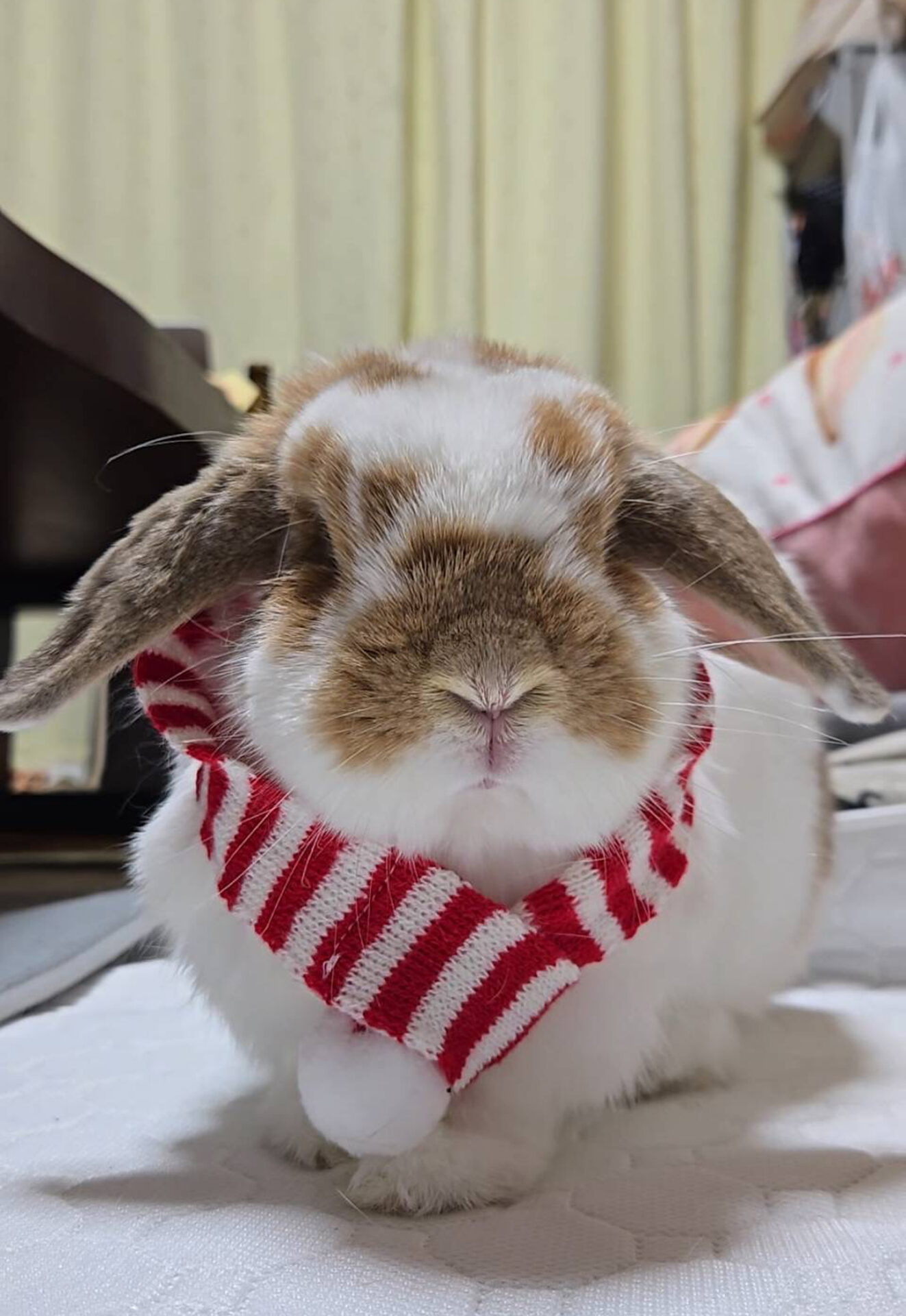 レム（おしゃれ部門）