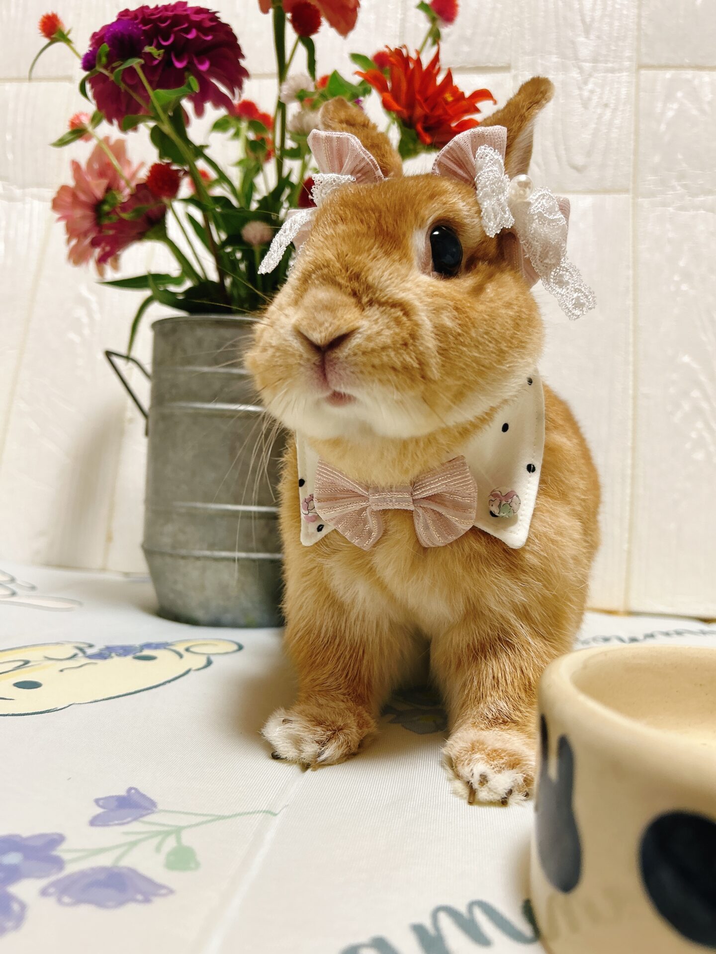 Pちゃん（おしゃれ部門）