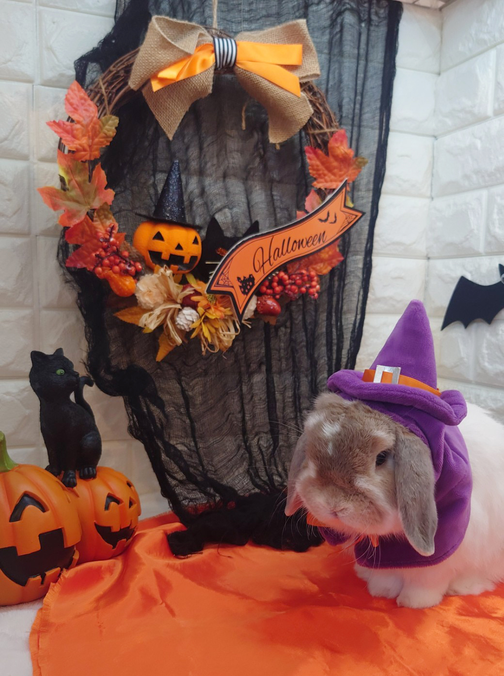 Ｆｕｕくん（おしゃれ部門）