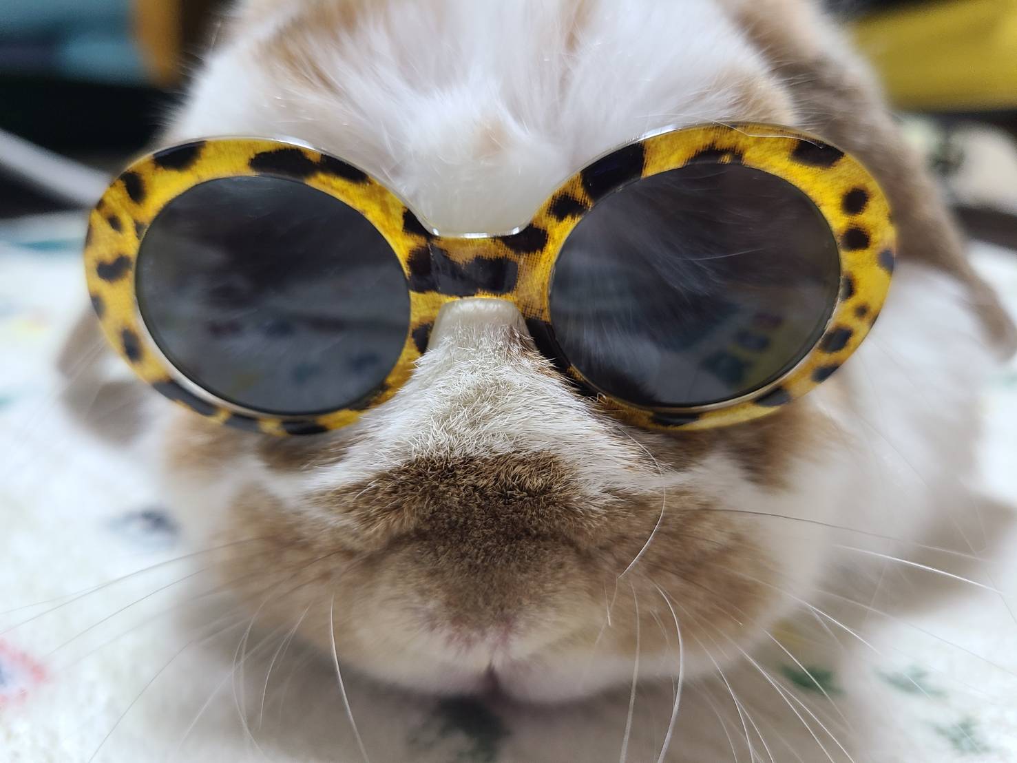 れむ（おしゃれ部門）