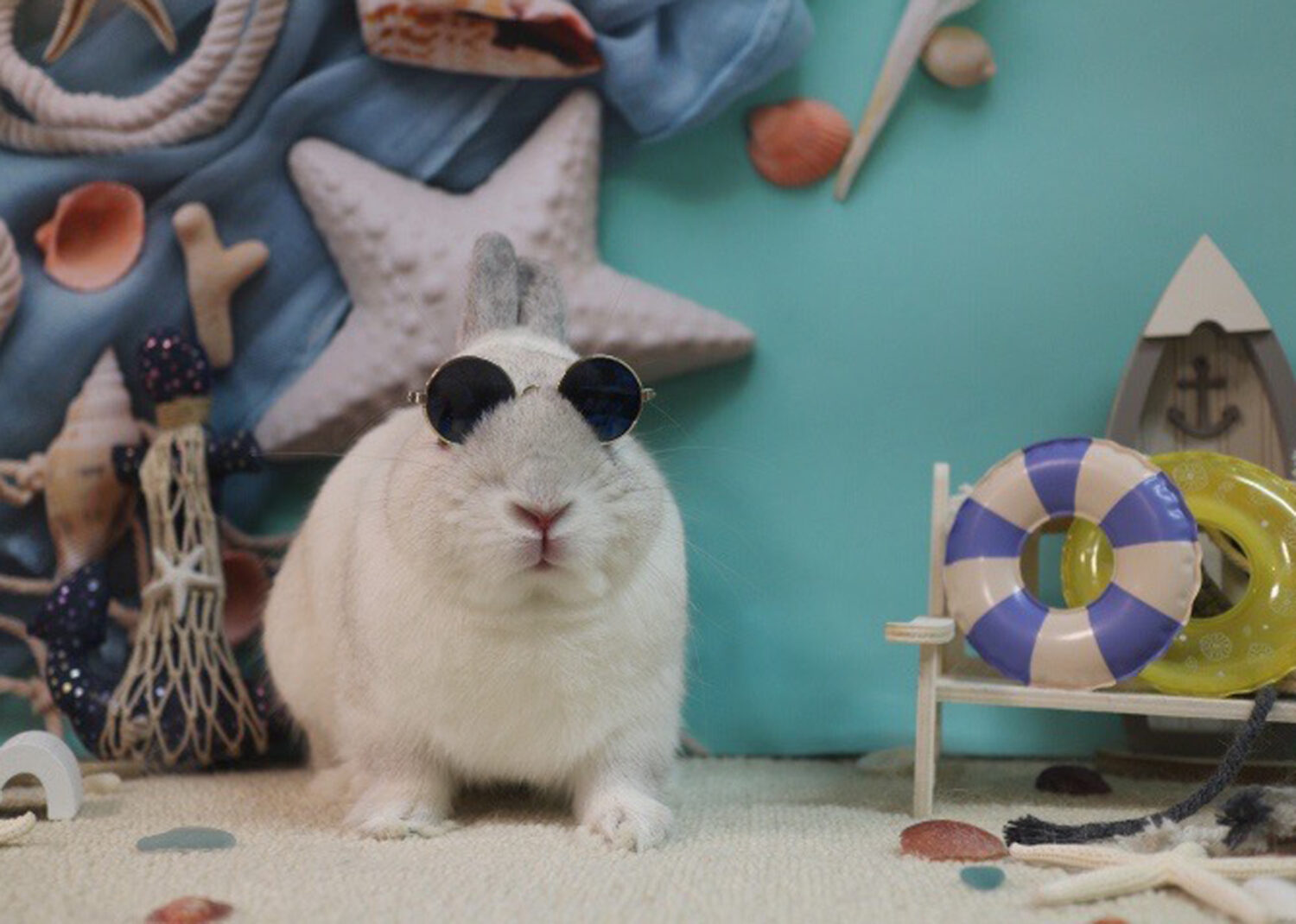 みぞれ（おしゃれ部門）