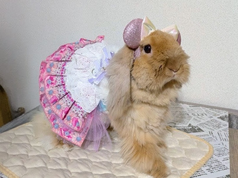 幸楽（おしゃれ部門）