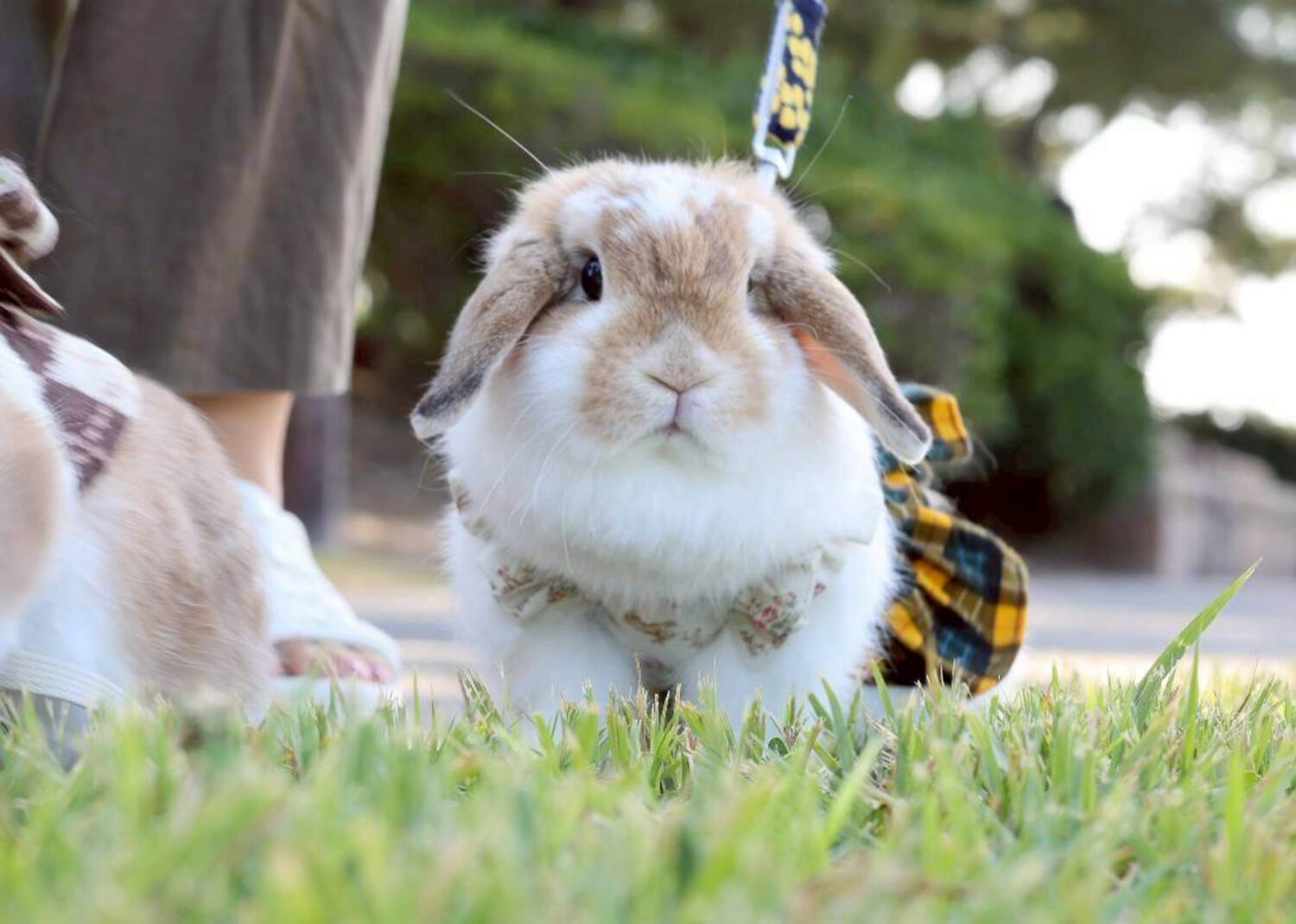 空（おしゃれ部門）