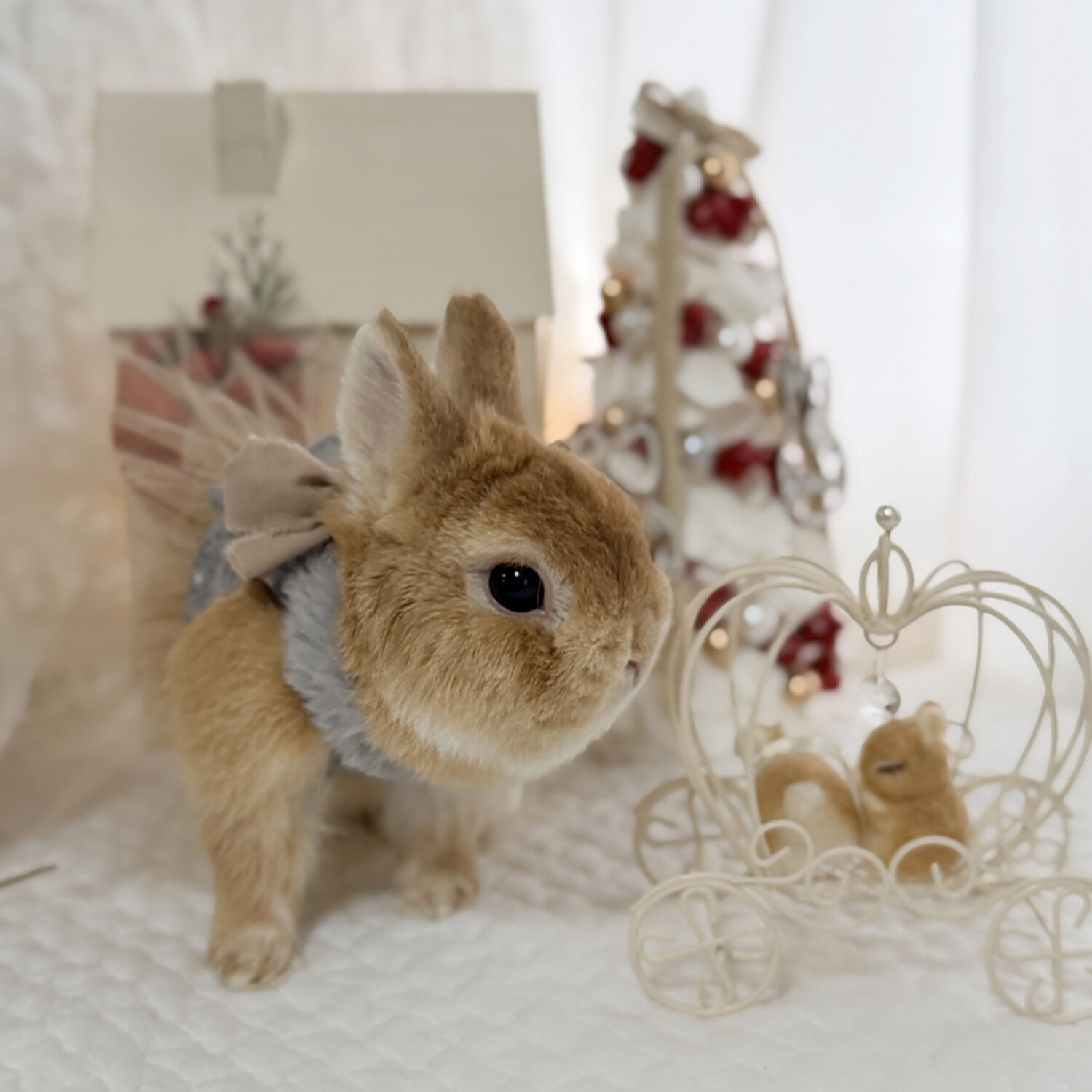 Daniel（おしゃれ部門）