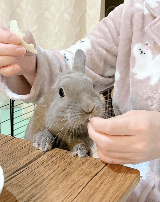 くろまめ（大賞）