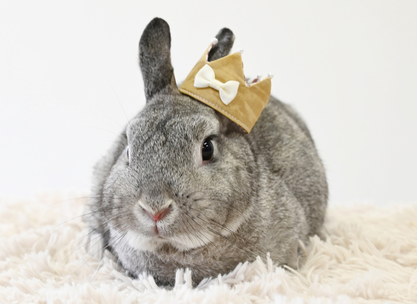 マック（大賞）