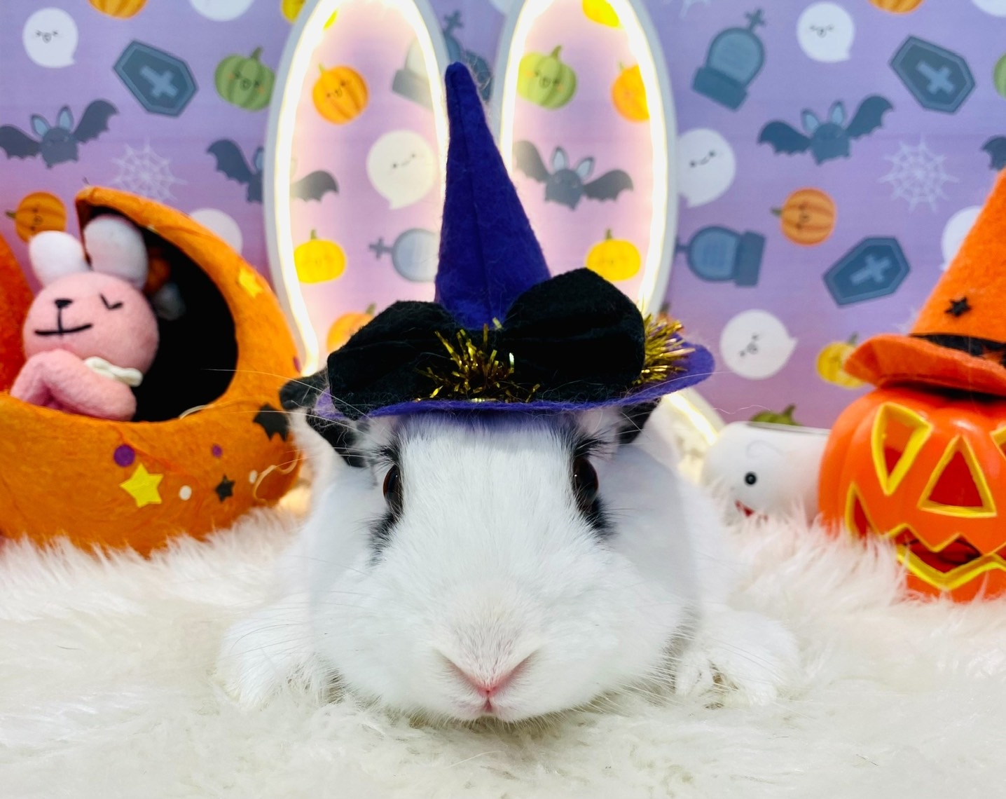 れおん（大賞）