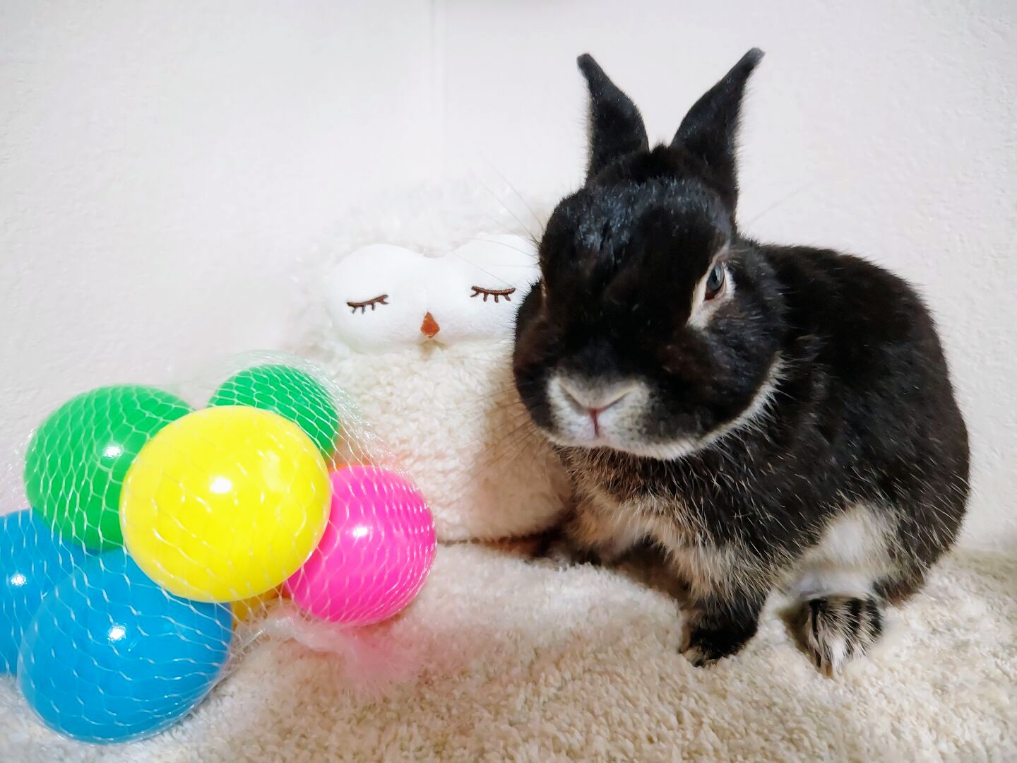 あたる（大賞）